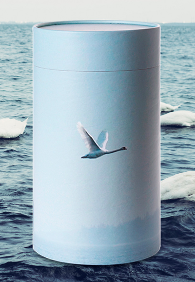 askestroning-bedemand-aalborg-sara