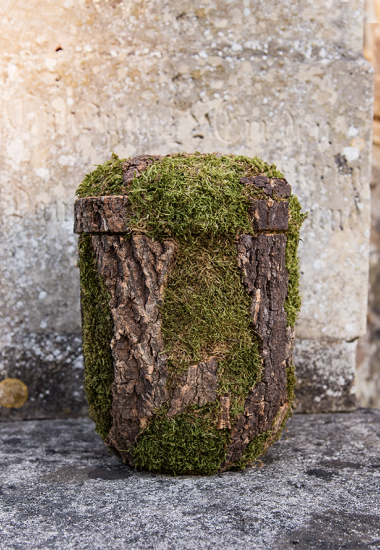 bark-miljo-sara-bedemand-aalborg
