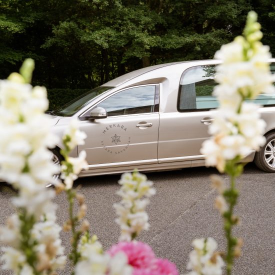 Bedemand Sara Savannah - Aalborg og omegn - Merkaba-bedemand