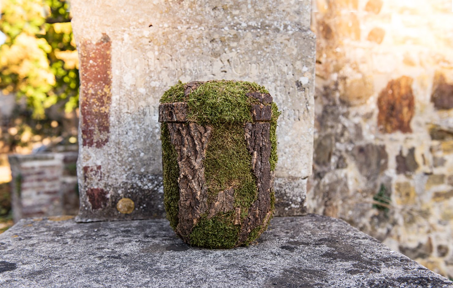 bark-miljo-sara-bedemand-aalborg